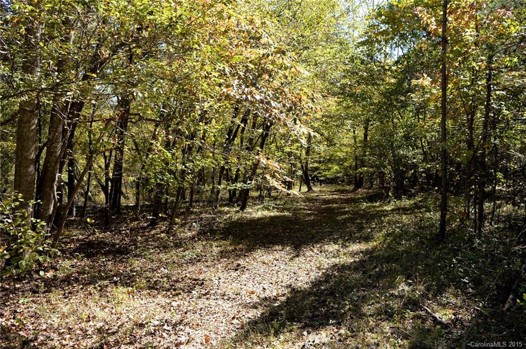 0 Sunny View Drive, Unit B Rutherfordton, NC 28139 - Photo 11 of 16