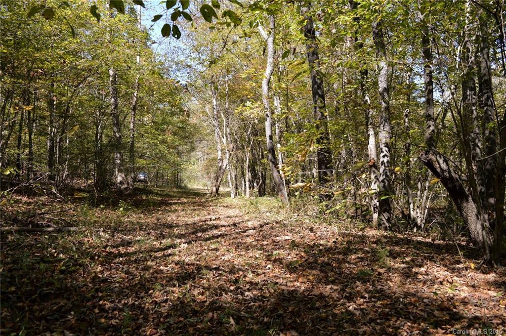 0 Sunny View Drive, Unit B Rutherfordton, NC 28139 - Photo 13 of 16