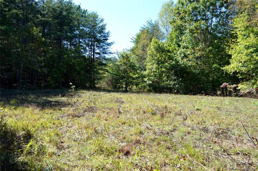 0 Sunny View Drive, Unit B Rutherfordton, NC 28139 - Photo 3 of 16
