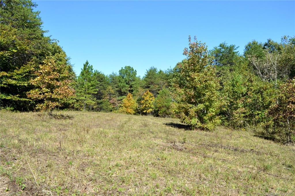 0 Sunny View Drive, Unit B Rutherfordton, NC 28139 - Photo 4 of 16