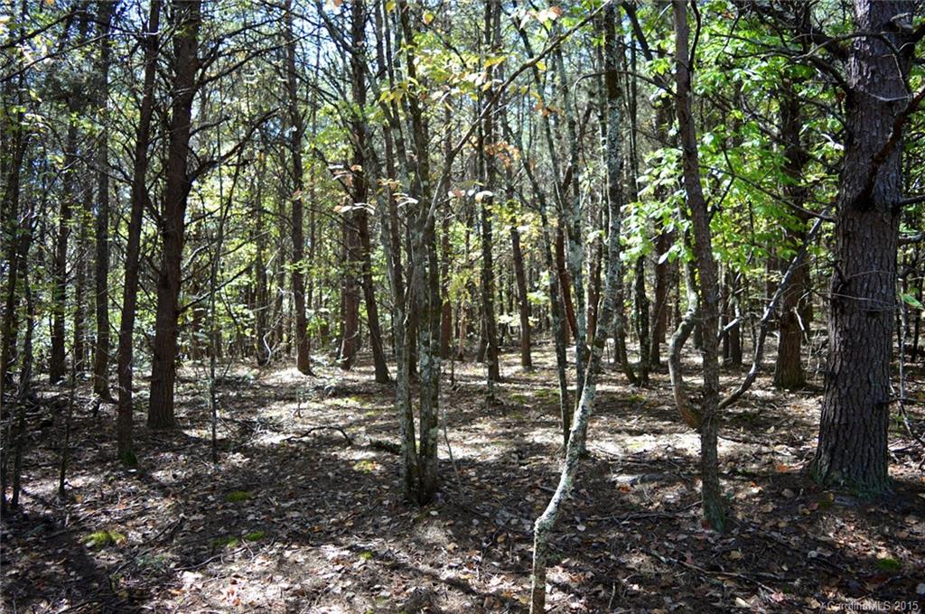 0 Sunny View Drive, Unit B Rutherfordton, NC 28139 - Photo 5 of 16