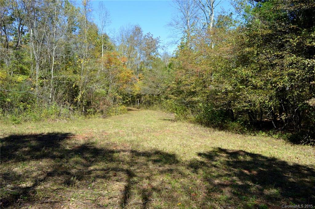 0 Sunny View Drive, Unit B Rutherfordton, NC 28139 - Photo 7 of 16