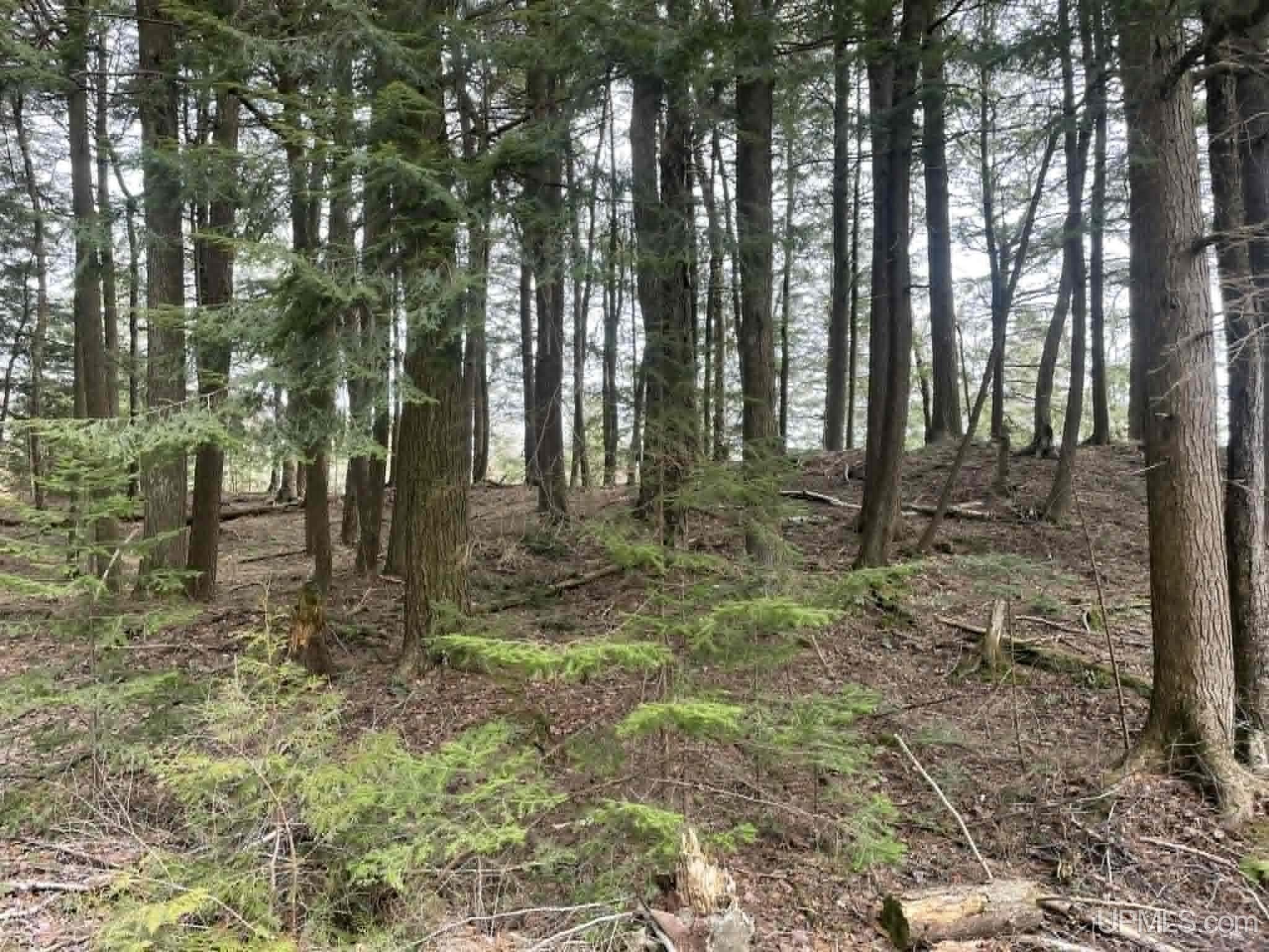 Tbd Peninsula Acres Road Manistique, MI 49854 - Photo 6 of 33