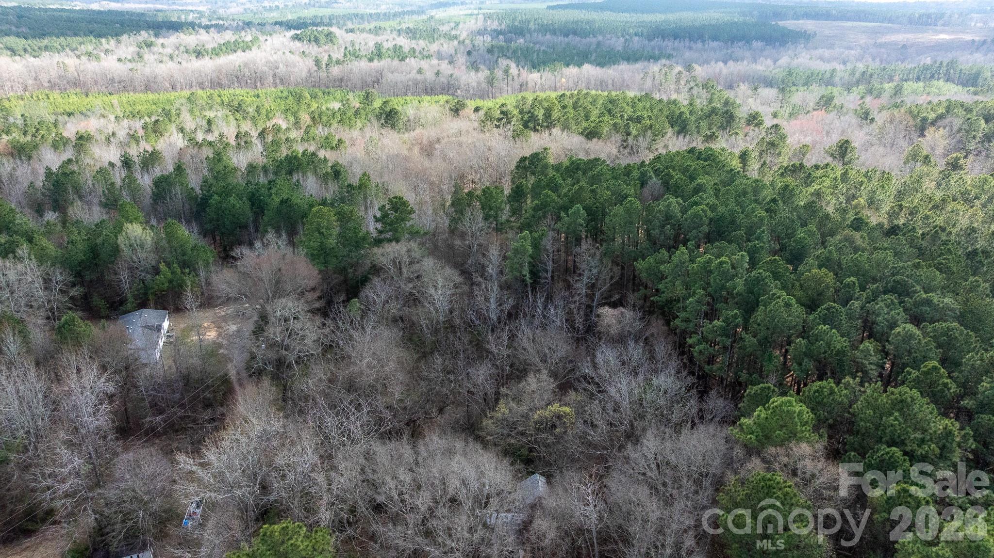 0 Bath Lane Lancaster, SC 29720 - Photo 11 of 15