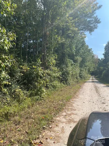 a view of a road with a yard