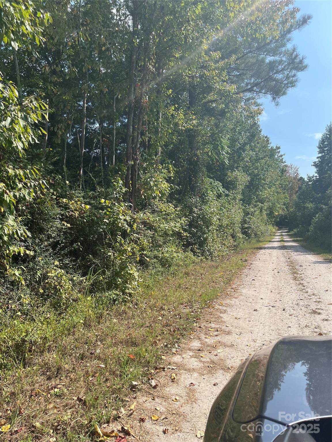 0 Bath Lane Lancaster, SC 29720 - Photo 2 of 5 a view of a road with a yard