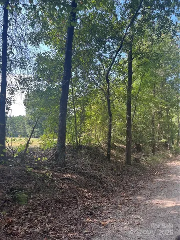 a view of outdoor space and trees