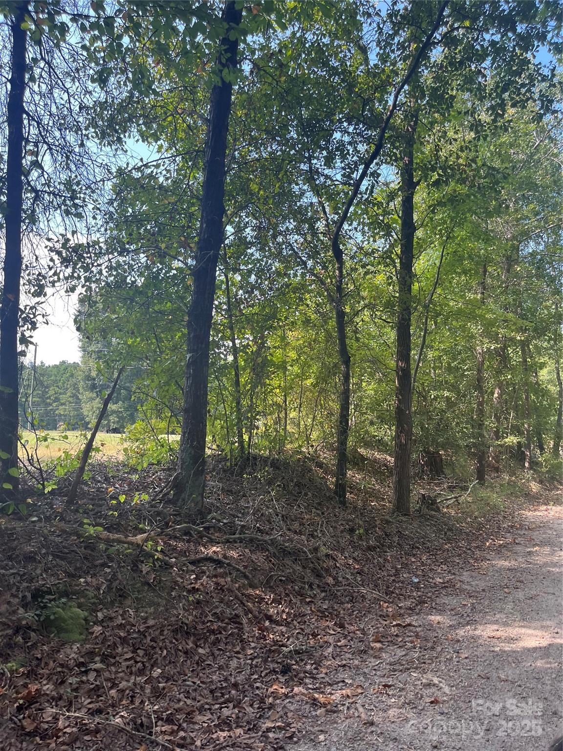 0 Bath Lane Lancaster, SC 29720 - Photo 3 of 5 a view of outdoor space and trees