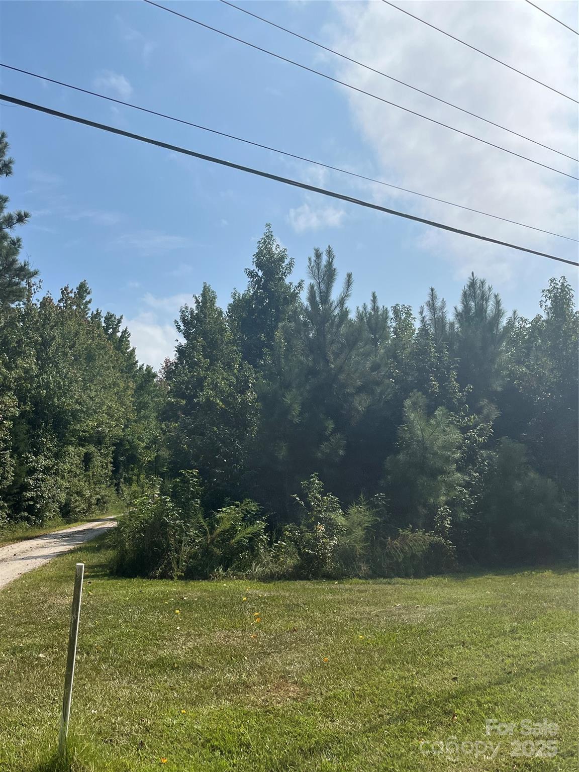 0 Bath Lane Lancaster, SC 29720 - Photo 5 of 5 a view of a yard