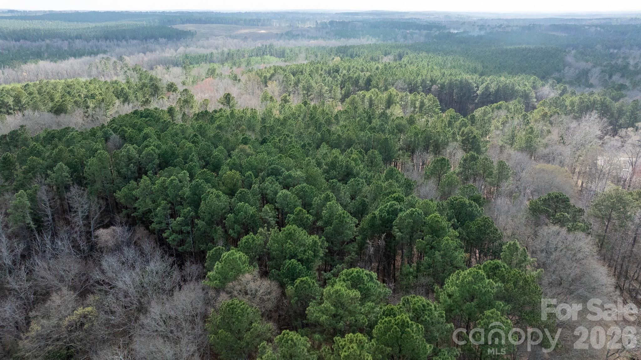 0 Bath Lane Lancaster, SC 29720 - Photo 10 of 15