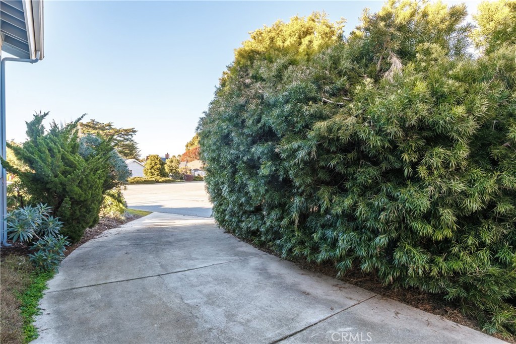 2440 Oak Ridge Drive Los Osos, CA 93402 - Photo 36 of 41