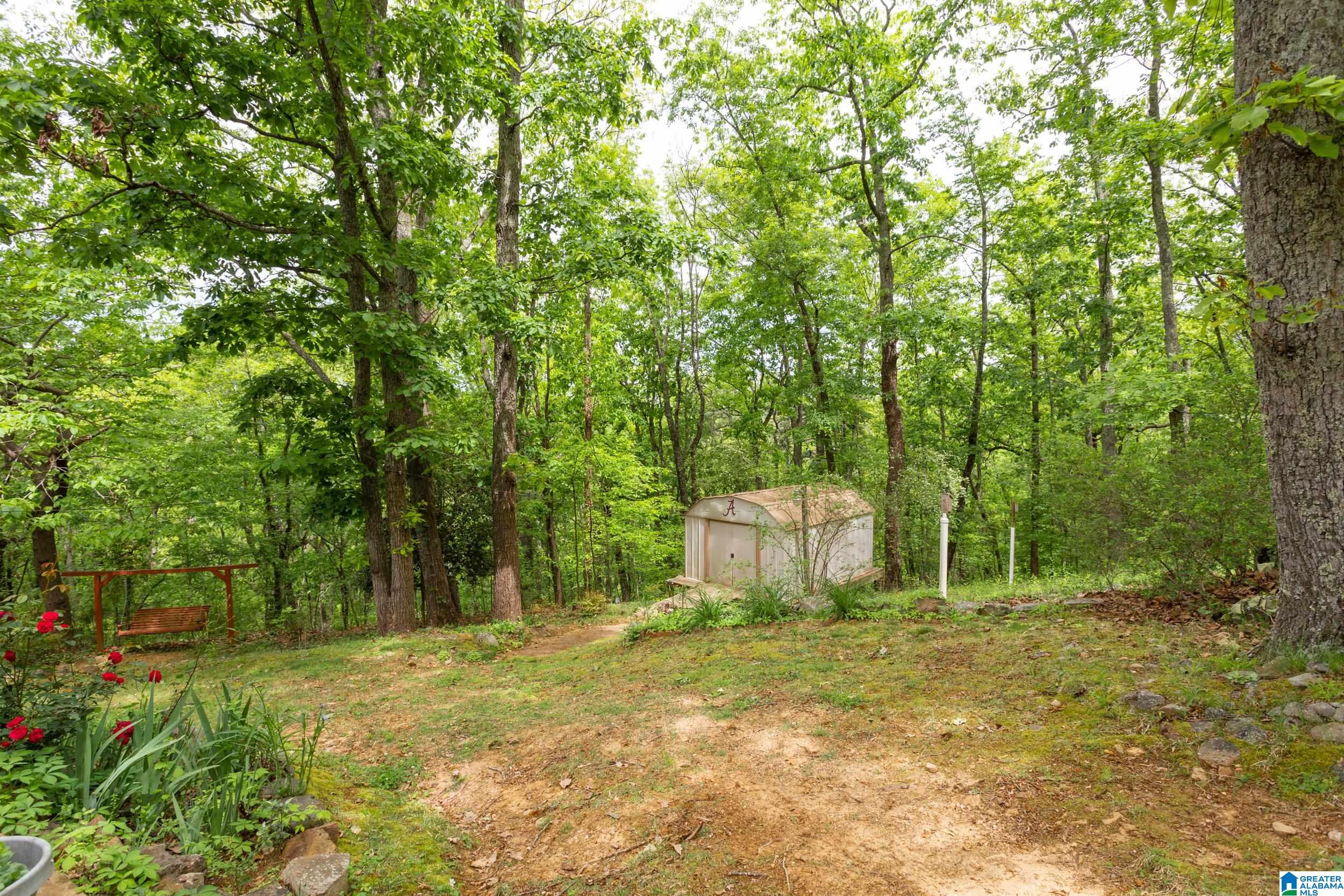 2 Alice Ridge Road Anniston, AL 36207 - Photo 40 of 44