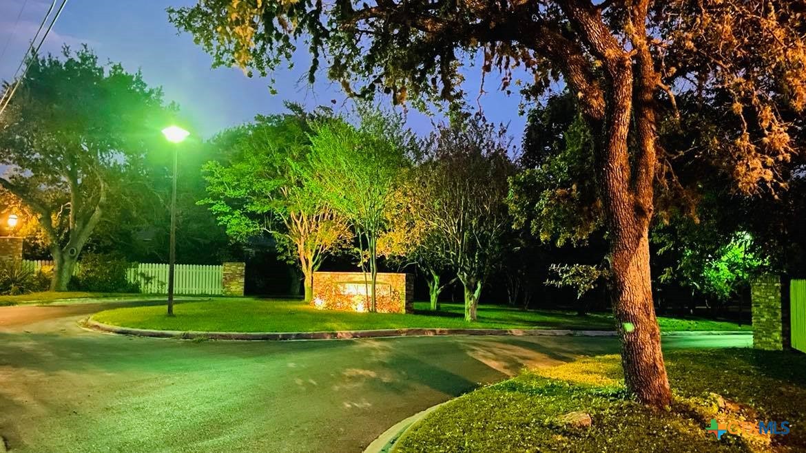 a view of a park with a tree