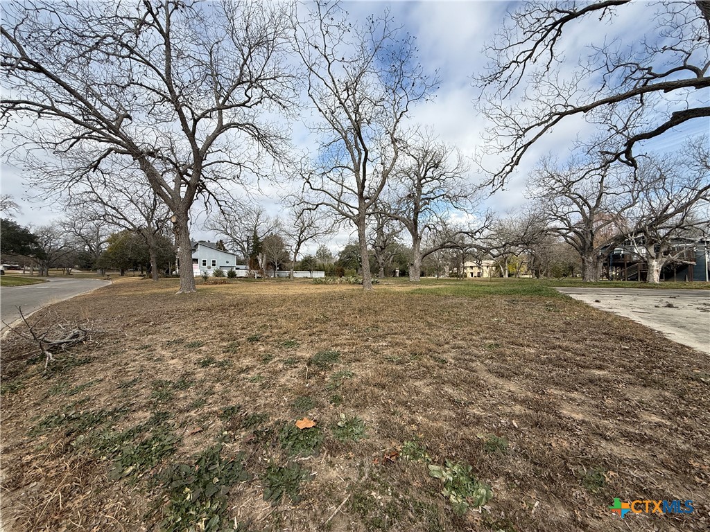 69 Hampton Drive South Seguin, TX 78155 - Photo 4 of 5 a view of yard covered with snow