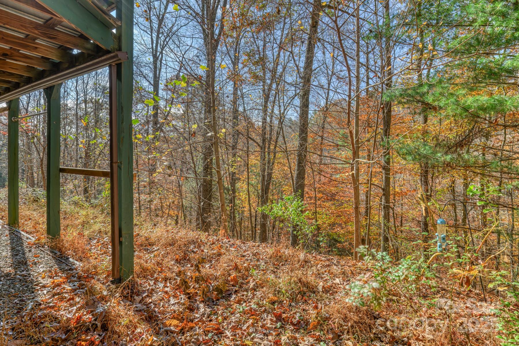 534 Parson Branch Road Green Mountain, NC 28740 - Photo 27 of 47 a view of backyard with green space