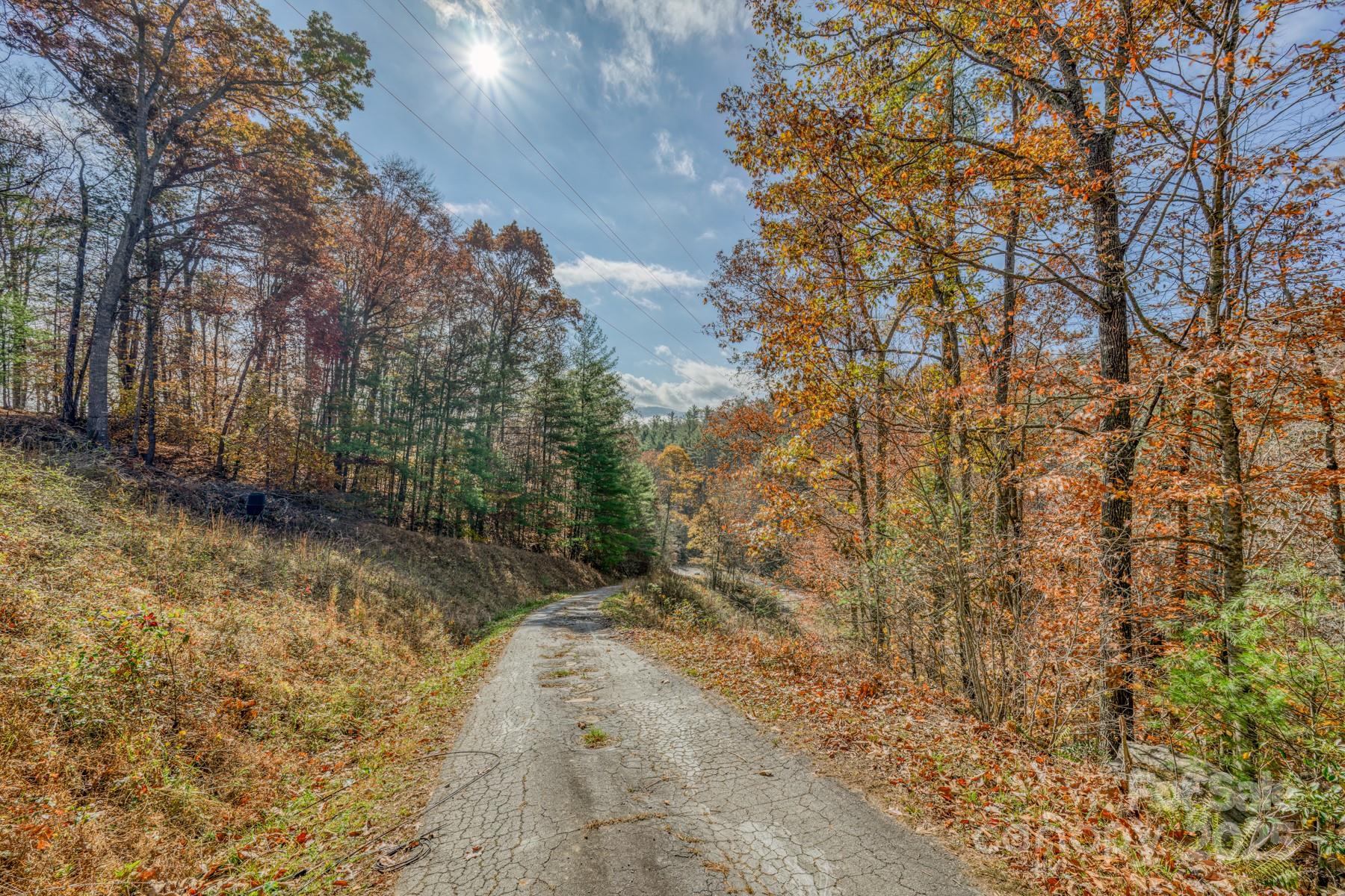 534 Parson Branch Road Green Mountain, NC 28740 - Photo 41 of 47 a view of a yard with trees