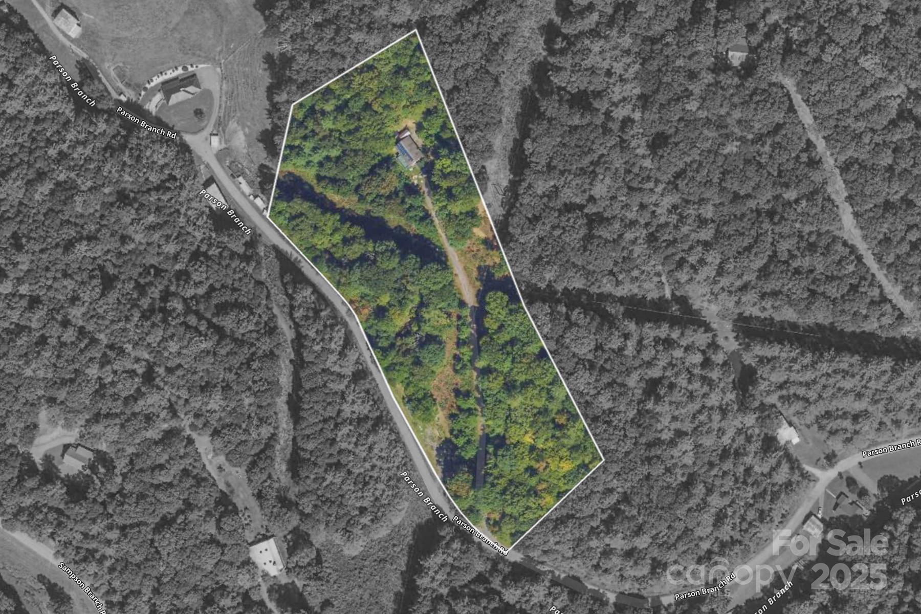 534 Parson Branch Road Green Mountain, NC 28740 - Photo 44 of 47 a view of a backyard