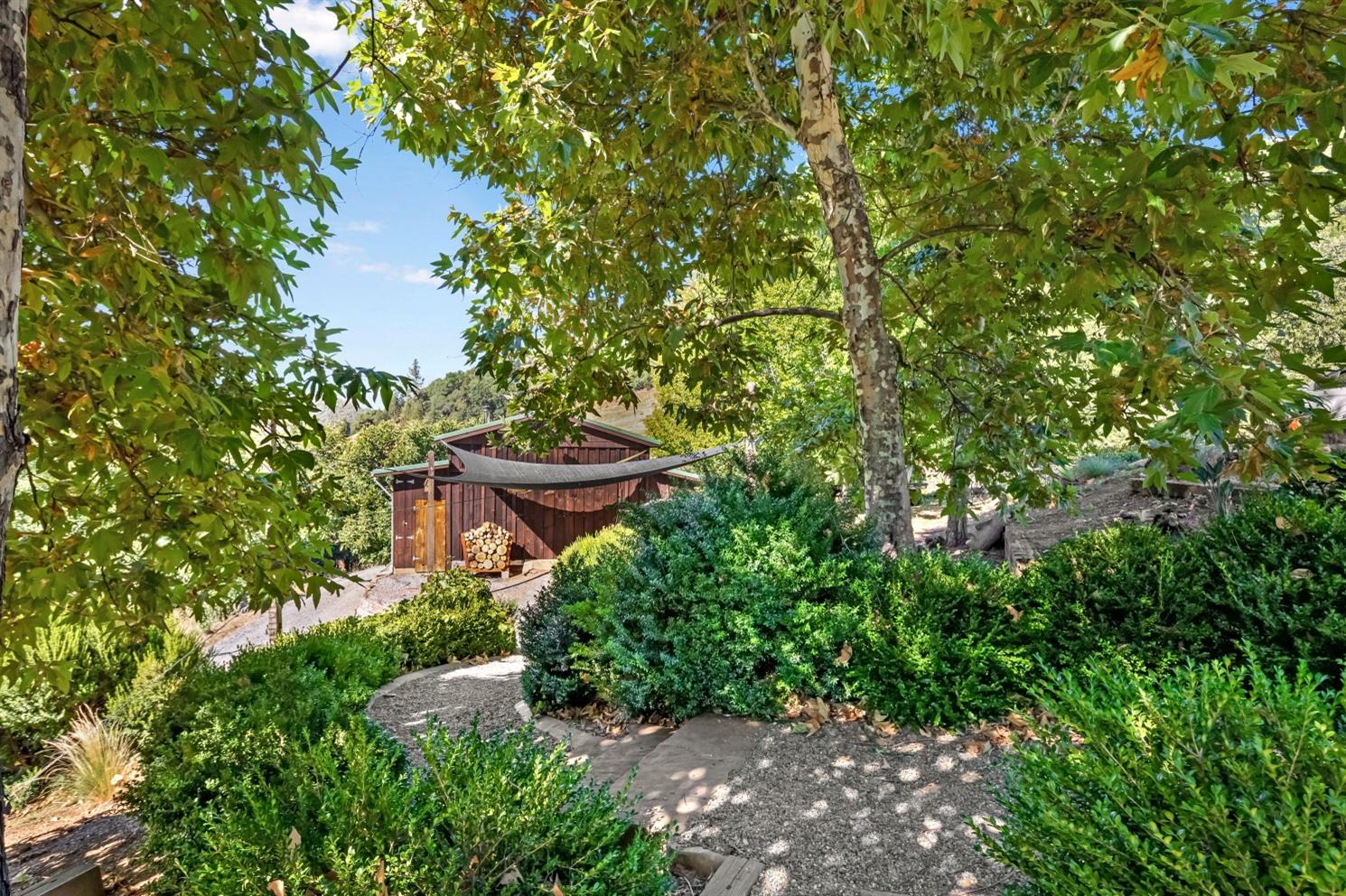 3000 Sheep Ranch Road Murphys, CA 95247 - Photo 54 of 75