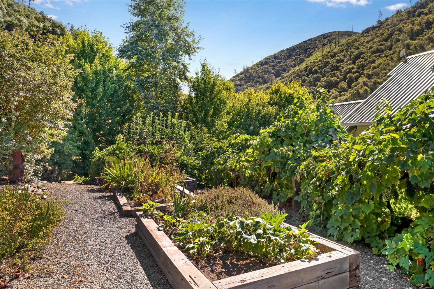 3000 Sheep Ranch Road Murphys, CA 95247 - Photo 55 of 75