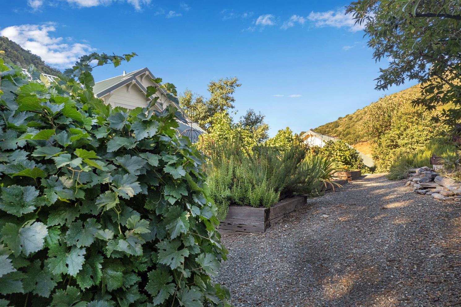 3000 Sheep Ranch Road Murphys, CA 95247 - Photo 63 of 75