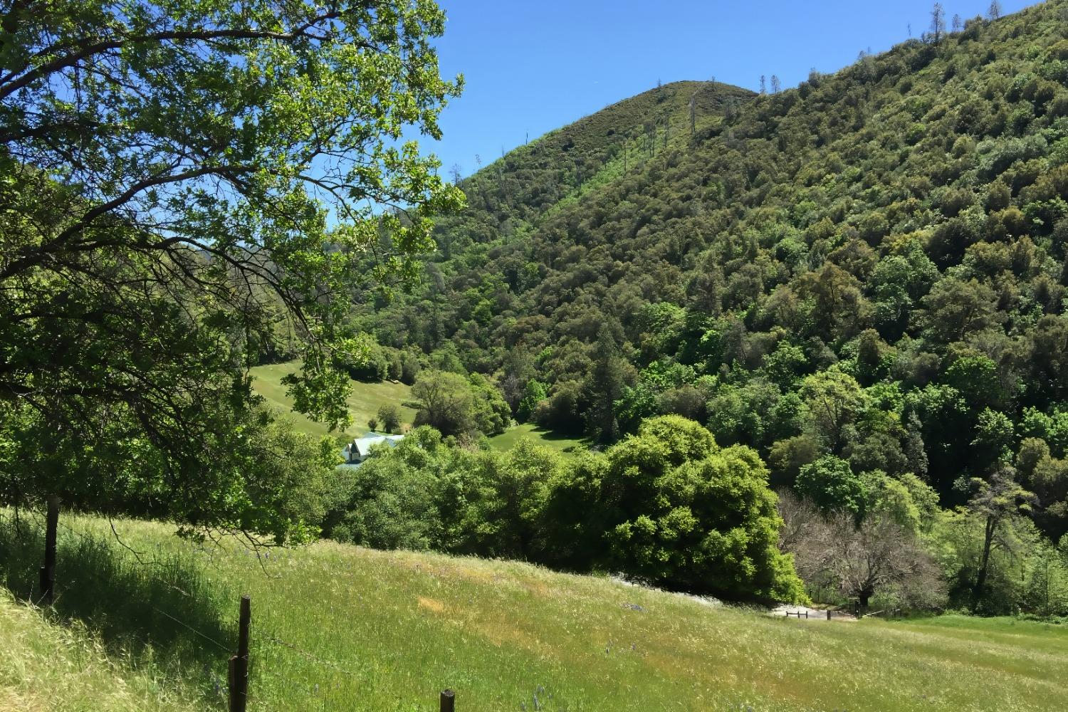 3000 Sheep Ranch Road Murphys, CA 95247 - Photo 69 of 75