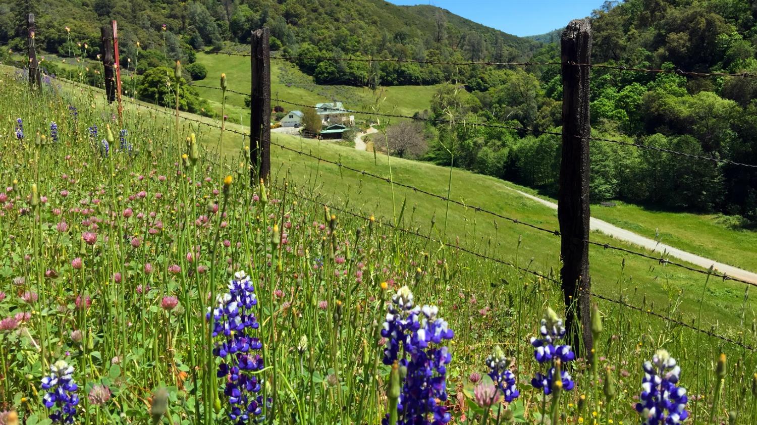 3000 Sheep Ranch Road Murphys, CA 95247 - Photo 70 of 75