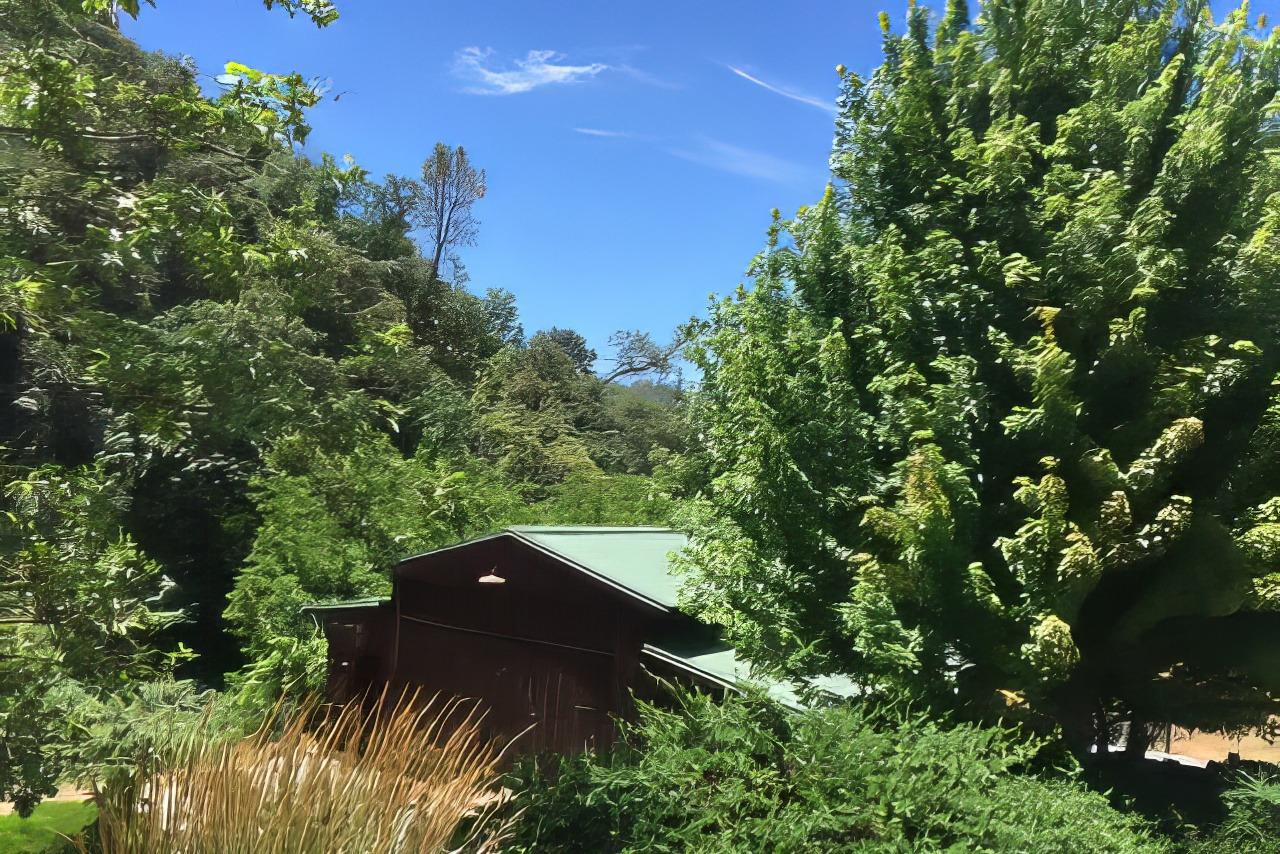 3000 Sheep Ranch Road Murphys, CA 95247 - Photo 71 of 75