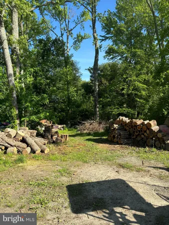 a view of a lake with lawn chairs and large trees