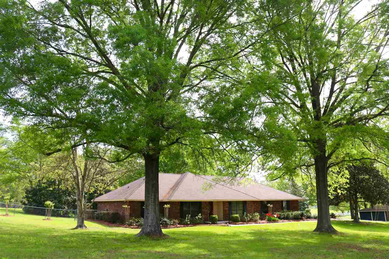 131 Lakeview Road Brandon, MS 39047 - Photo 1 of 50 Photo 1
