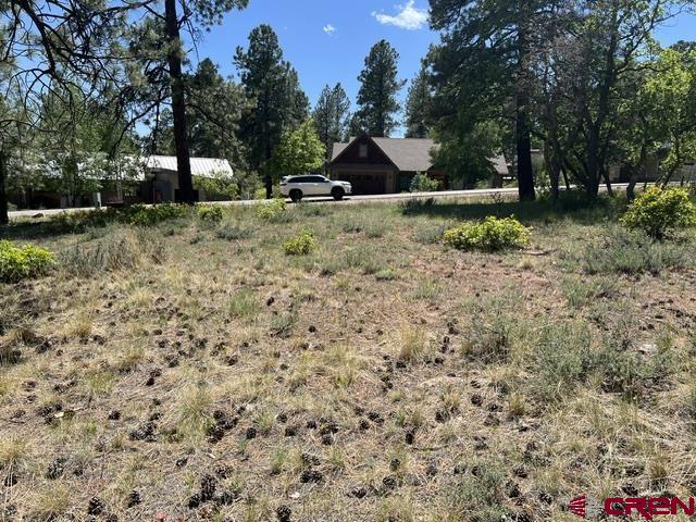 250 Copper Rim Trail Durango, CO 81301 - Photo 7 of 11