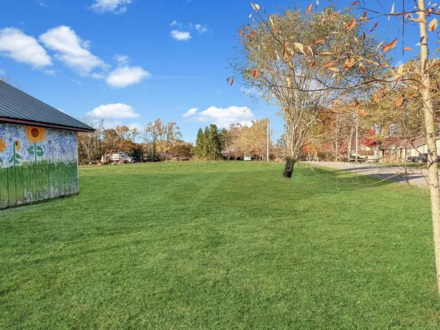 a view of a park with large trees