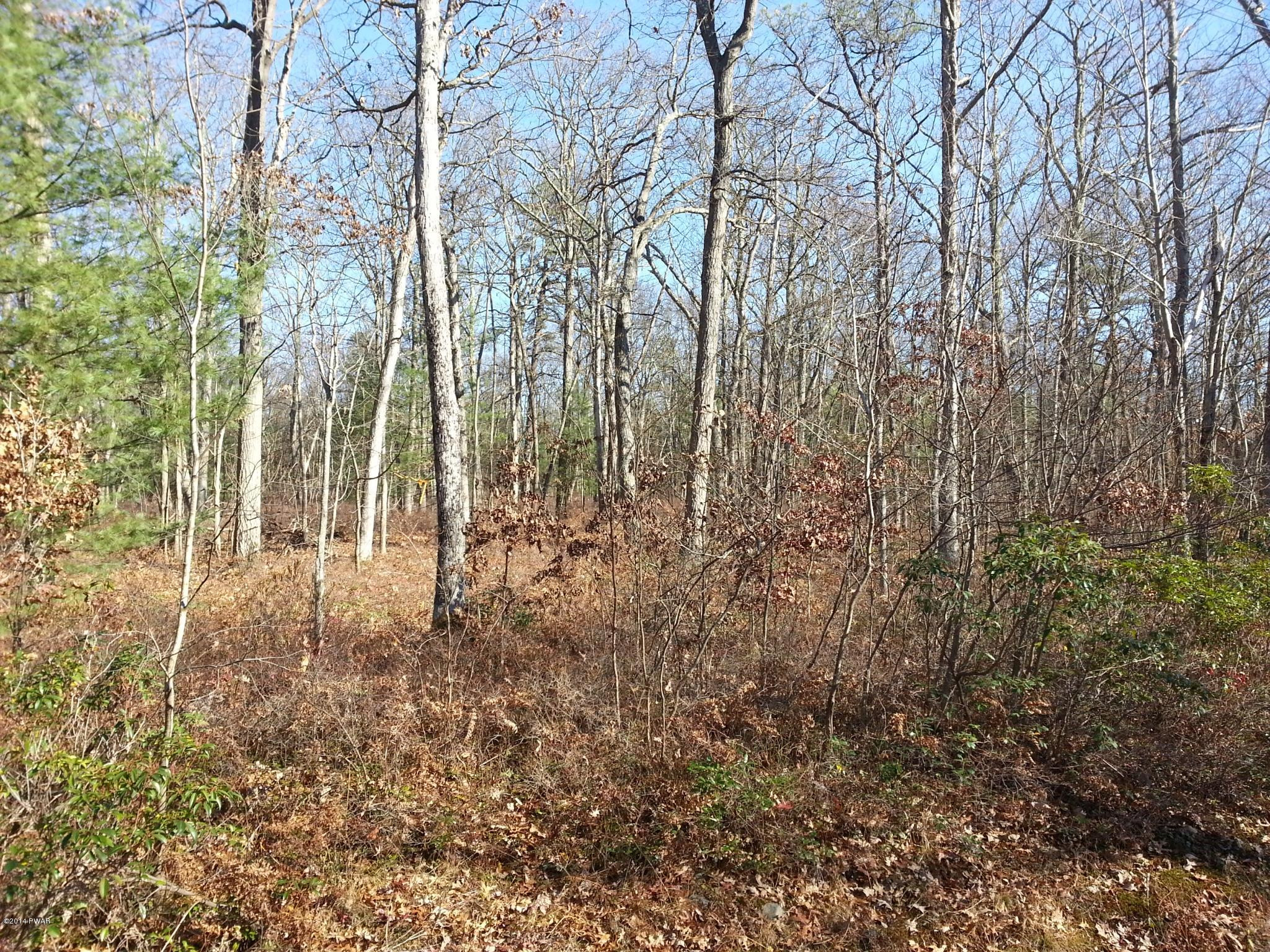 8 C Cabin Ridge Road Hawley, PA 18428 - Photo 7 of 7