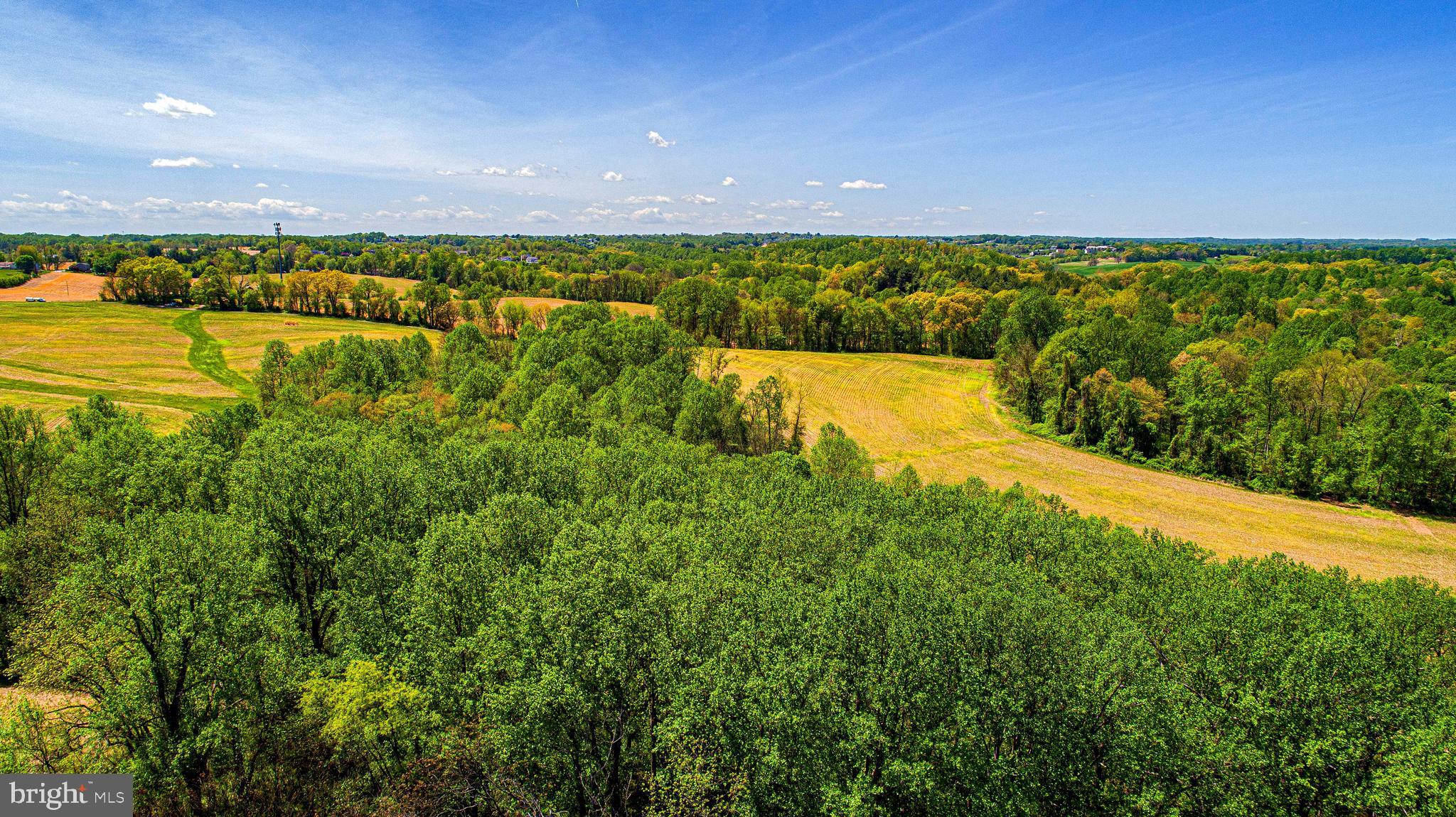 2874 Ady Road Forest Hill, MD 21050 - Photo 79 of 85