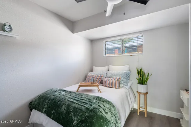 a bedroom with a bed plant and a window