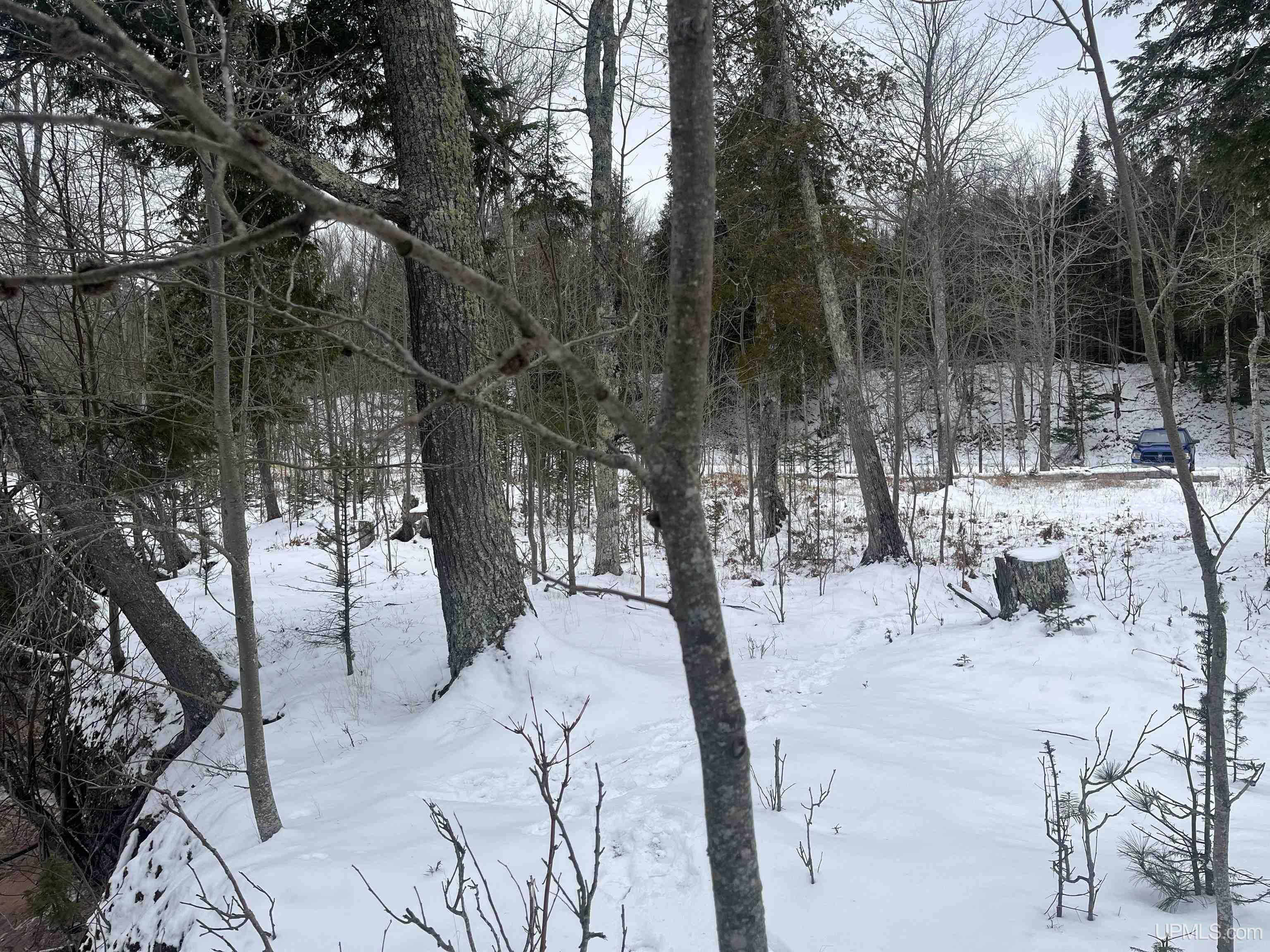 3 Eagles Nest Road Marquette, MI 49855 - Photo 13 of 20