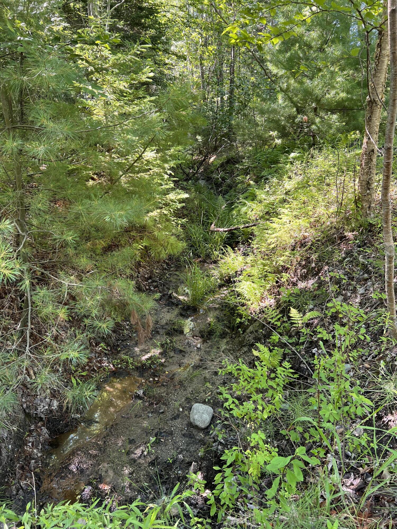 Tbd Needle's Eye Road Lamoine, ME 04605 - Photo 4 of 5 photo 4