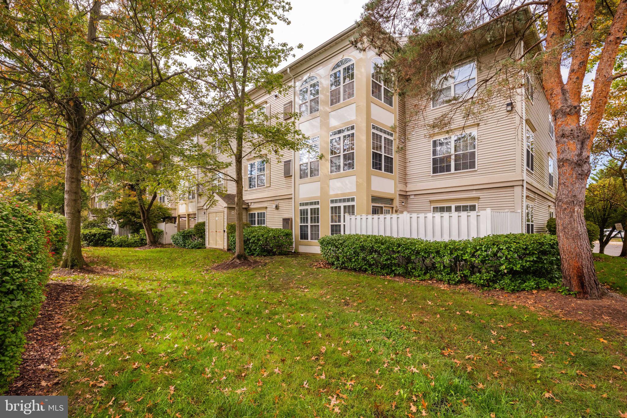 6602 Thackwell Way, Unit C Alexandria, VA 22315 - Photo 40 of 54 a view of a big yard with plants and large trees
