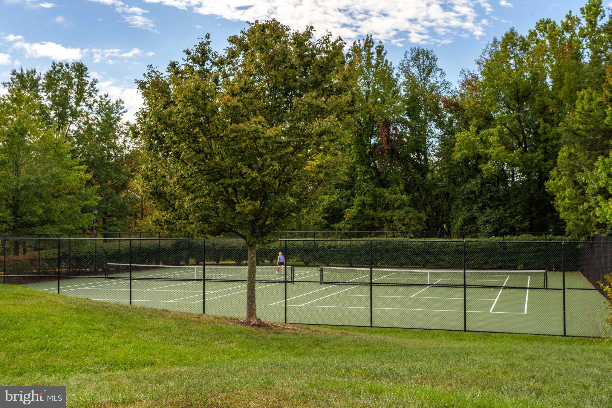 6602 Thackwell Way, Unit C Alexandria, VA 22315 - Photo 46 of 54 a view of a bench in a yard