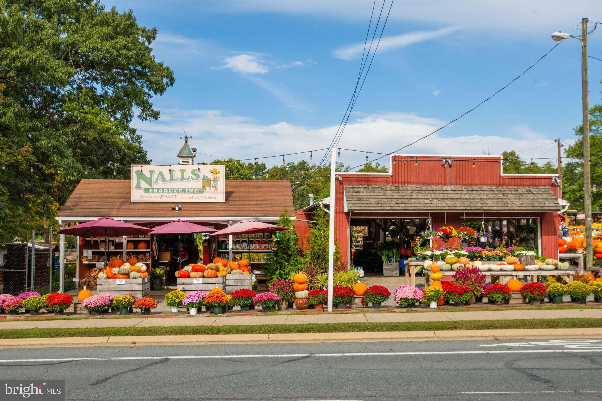 6602 Thackwell Way, Unit C Alexandria, VA 22315 - Photo 49 of 54 a view of street and shops