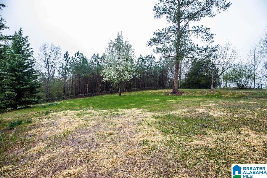 304 Brockford Road Heflin, AL 36264 - Photo 22 of 28