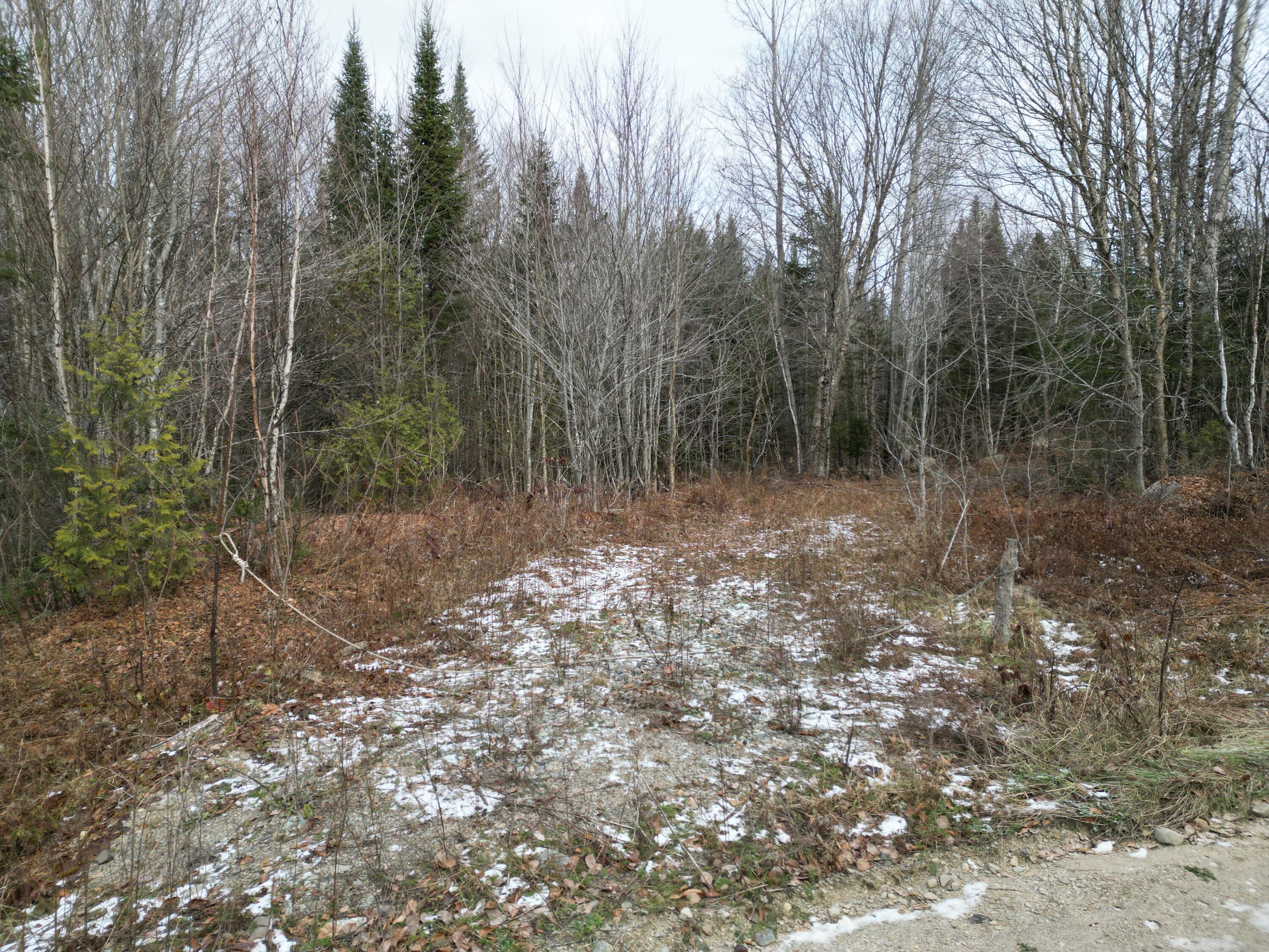 9 Upper Dobsis Road Lakeville, ME 04487 - Photo 5 of 29 DJI_0401