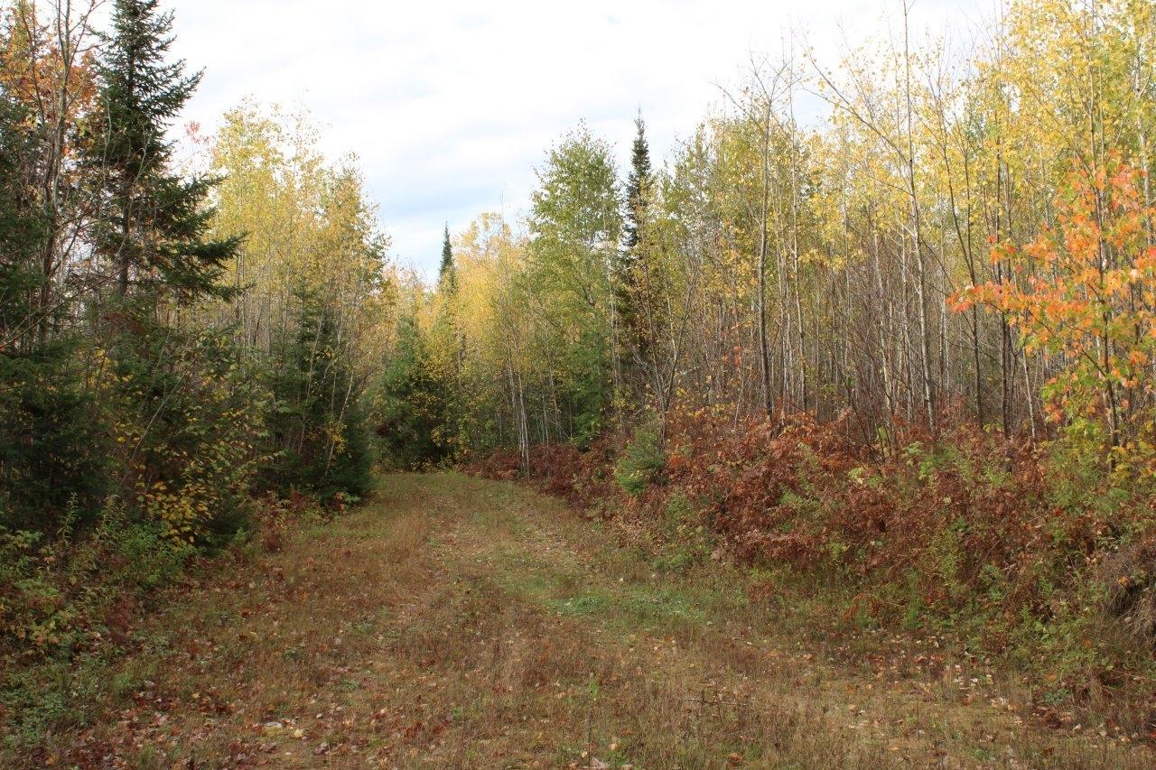 Off Warren Road Fifield, WI 54524 - Photo 3 of 28 Gallery Image 3