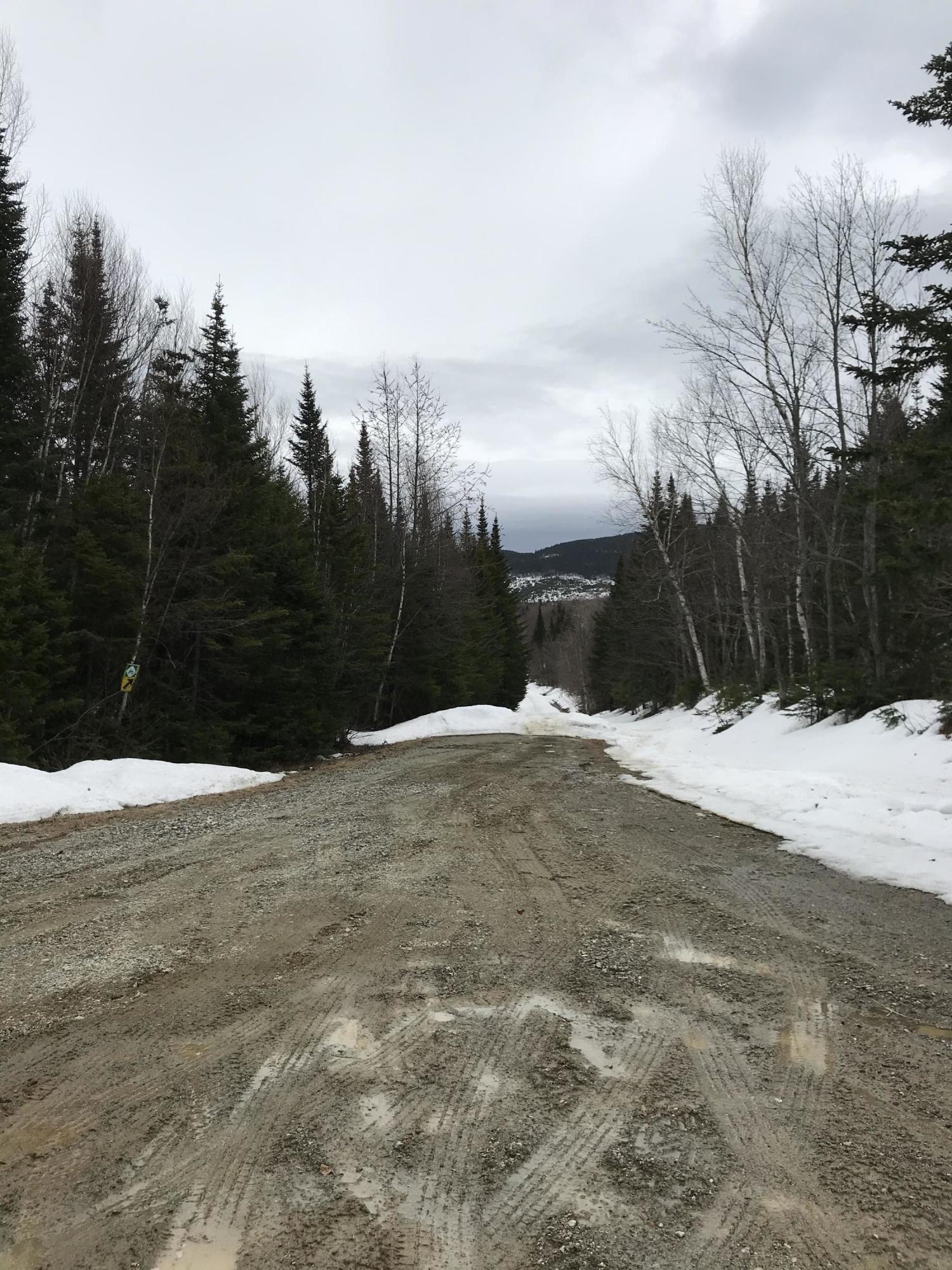 Lot 22 No Road Jackman, ME 04945 - Photo 23 of 39 51A59565-C41B-4E76-85C2-1D232353AA6A