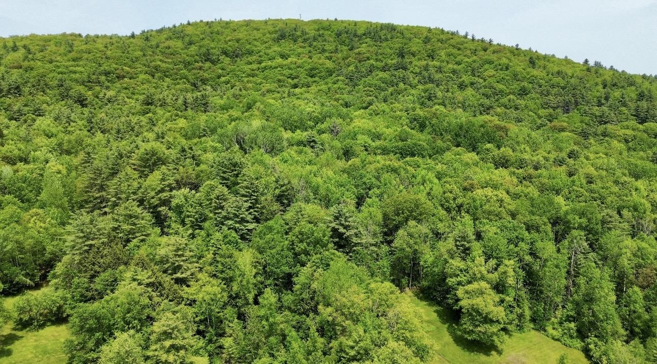 151 Sunset Rock Road Lebanon, NH 03766 - Photo 3 of 5