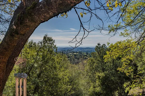 $459,999 | 13771 West Court, Pine Grove, CA 95665