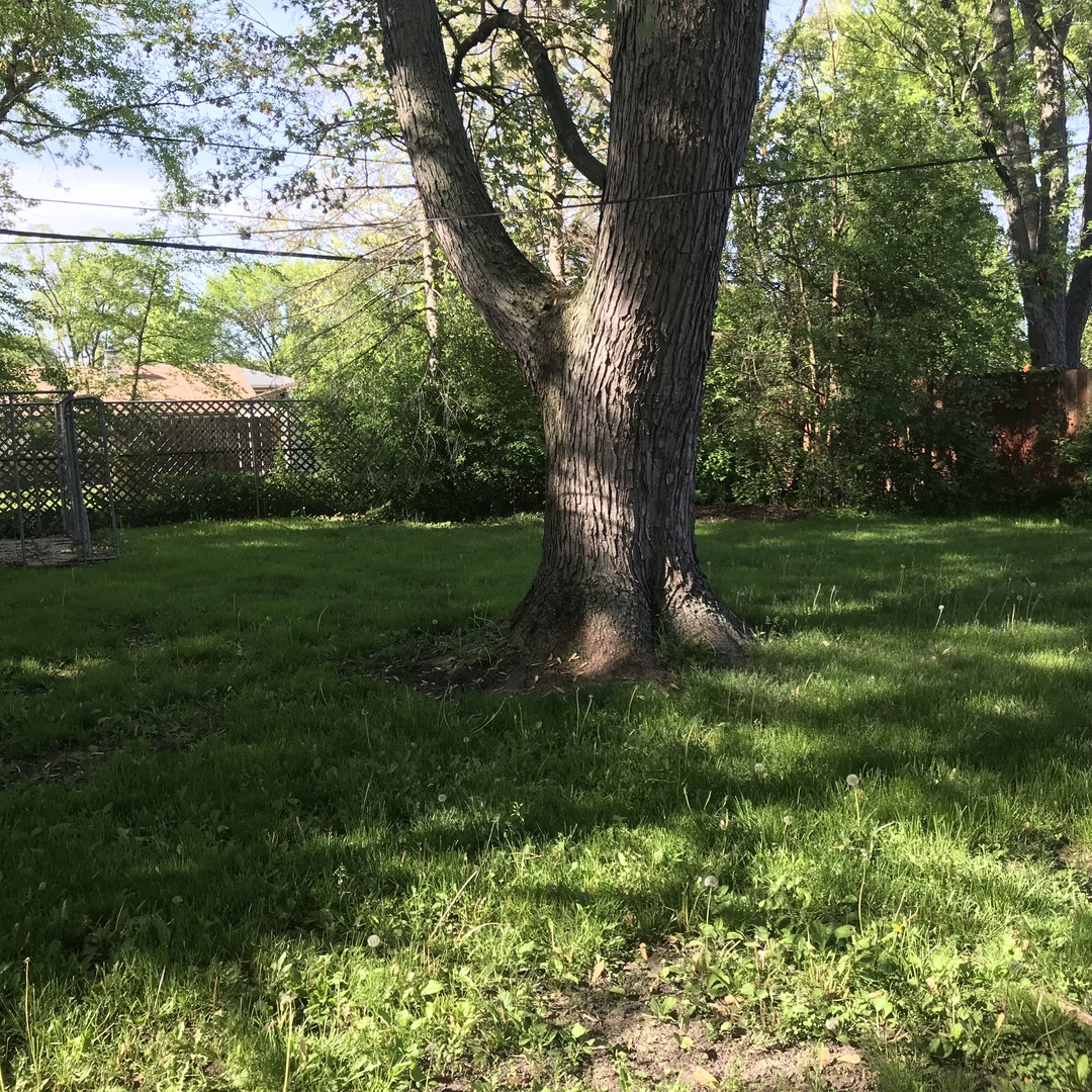 164 Monee Road Park Forest, IL 60466 - Photo 11 of 13
