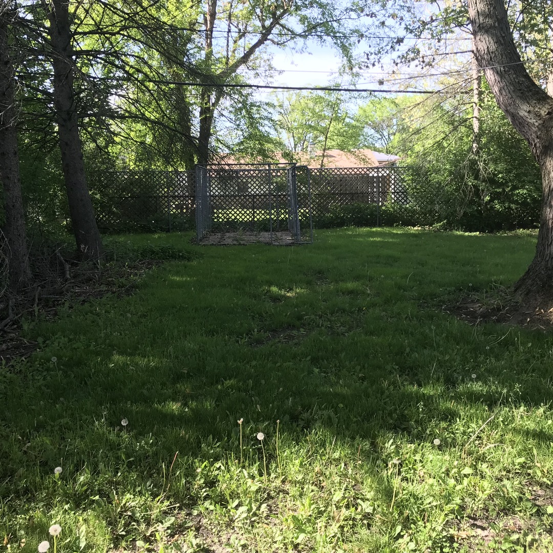 164 Monee Road Park Forest, IL 60466 - Photo 12 of 13