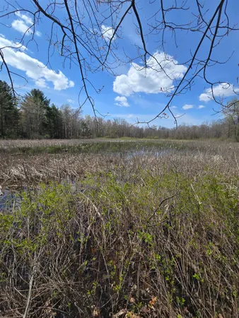 $49,900 | Tbd East Baseline Road, White Cloud, MI 49349