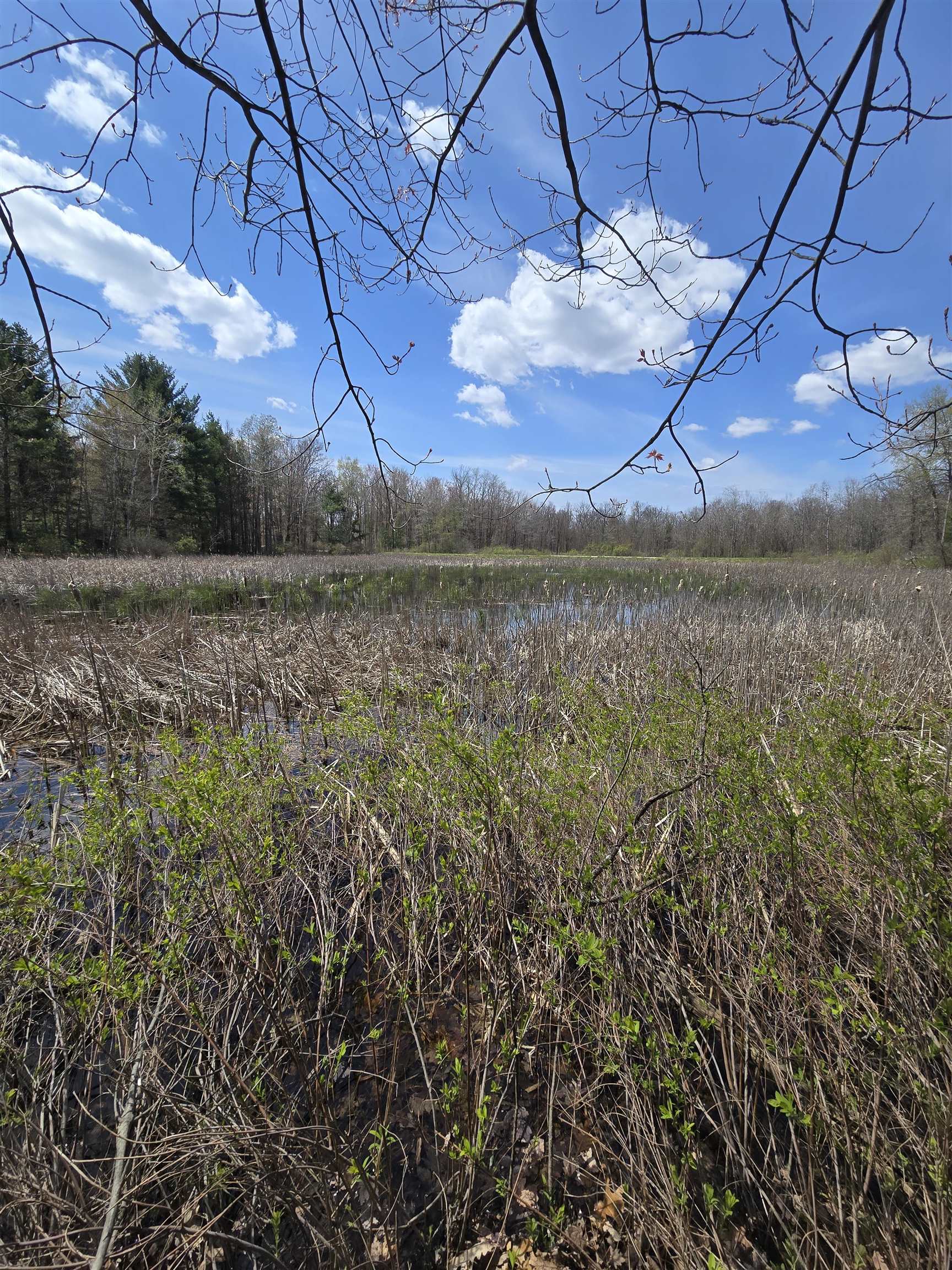 Tbd East Baseline Road White Cloud, MI 49349 - Photo 1 of 5