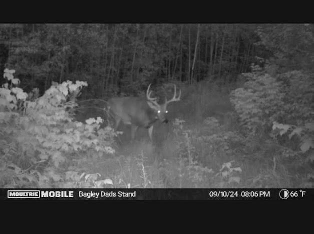 2 Bagley Mn 56621 Bagley, MN 56621 - Photo 15 of 37